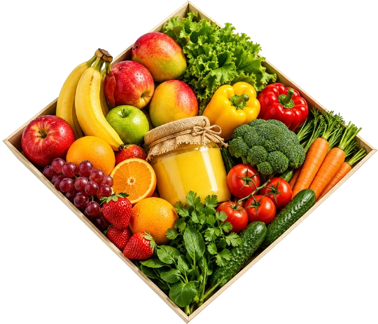 Basket of fresh organic vegetables