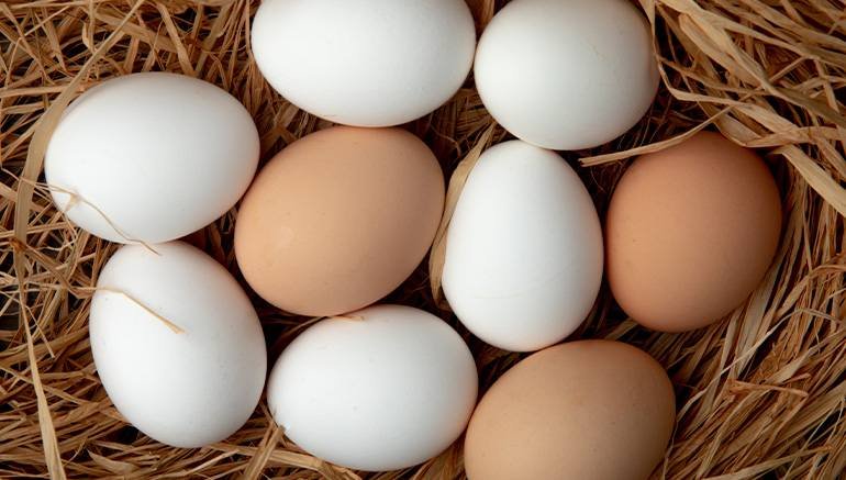 eggs inner img